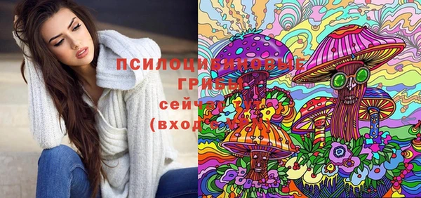 МДПВ Алексин