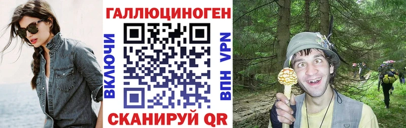 Галлюциногенные грибы Psilocybine cubensis наркота Вологда
